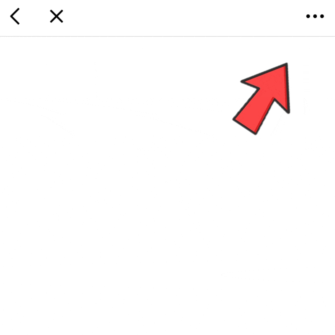 Instructions for opening Ride a Pet page in browser